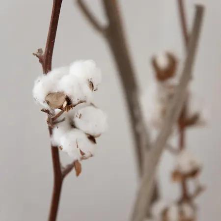 Apartmán La Siala Apt-30 By Interhome