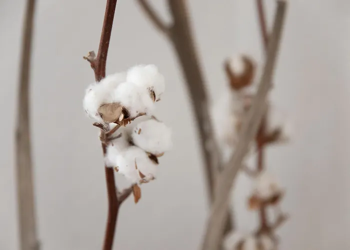 Apartamento La Siala Apt-30 By Interhome